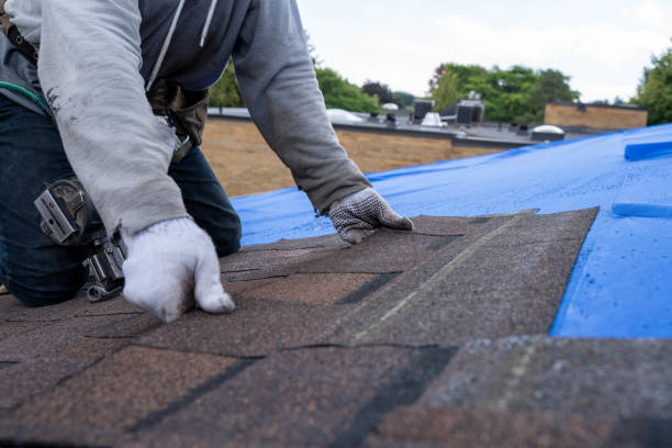 Professional Roofing Contractor in Hampton, MD