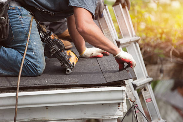 Best Roof Gutter Cleaning  in Hampton, MD