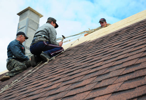 Best Shingle Roofing Installation  in Hampton, MD
